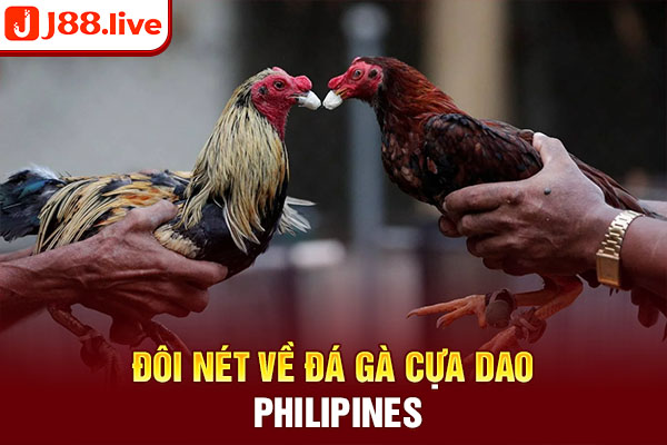 Đôi nét về đá gà cựa dao Philipines Đôi nét về đá gà cựa dao Philipines