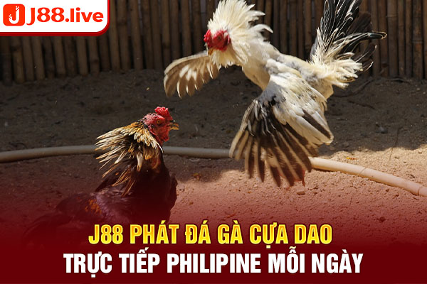 J88 phát đá gà cựa dao trực tiếp Philipine mỗi ngày J88 phát đá gà cựa dao trực tiếp Philipine mỗi ngày