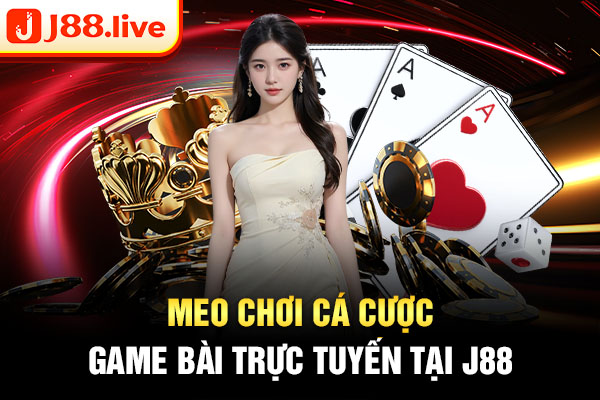 Meo chơi cá cược game bài trực tuyến tại J88 Meo chơi cá cược game bài trực tuyến tại J88